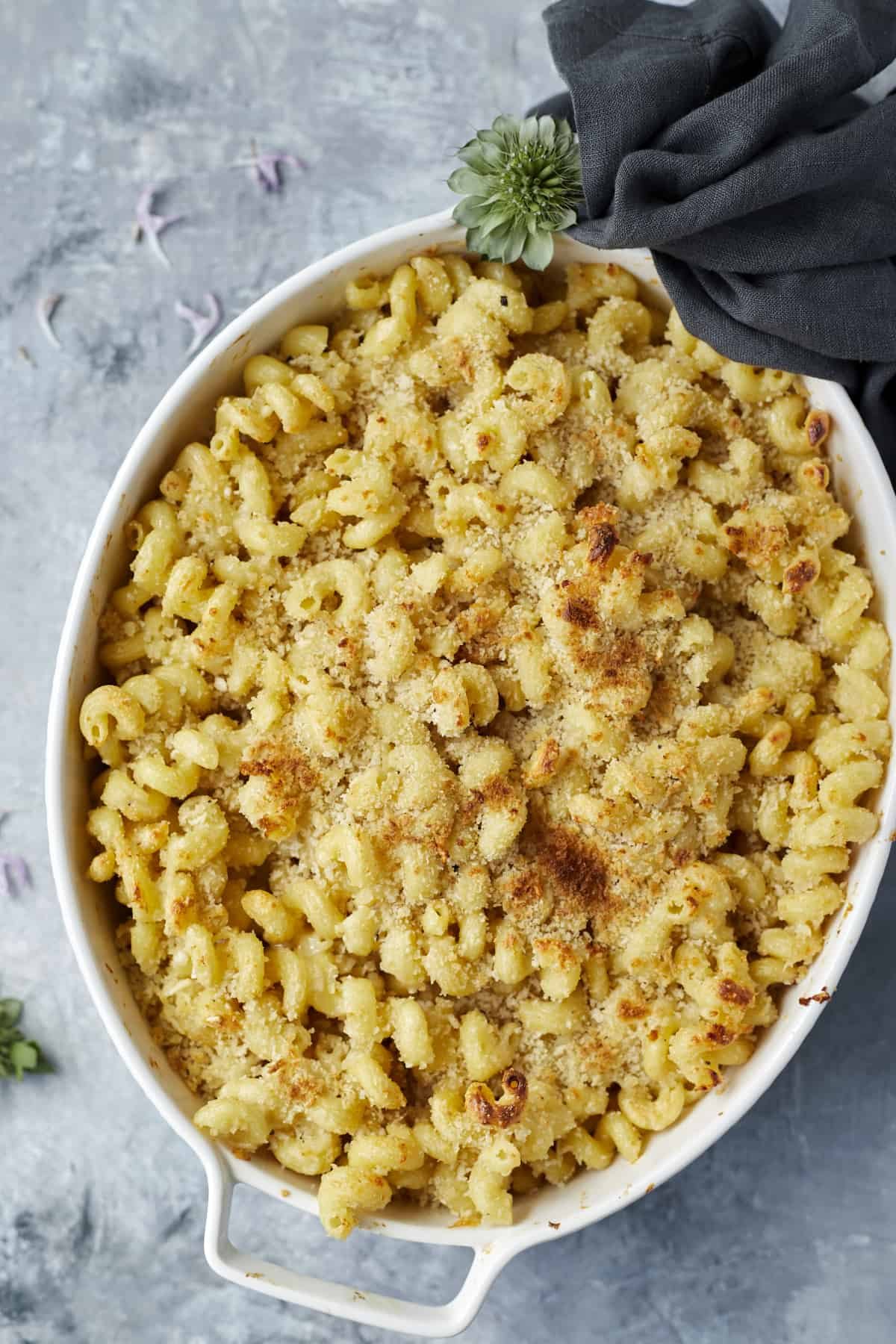 a dish of simple baked mac and cheese topped with breadcrumbs.