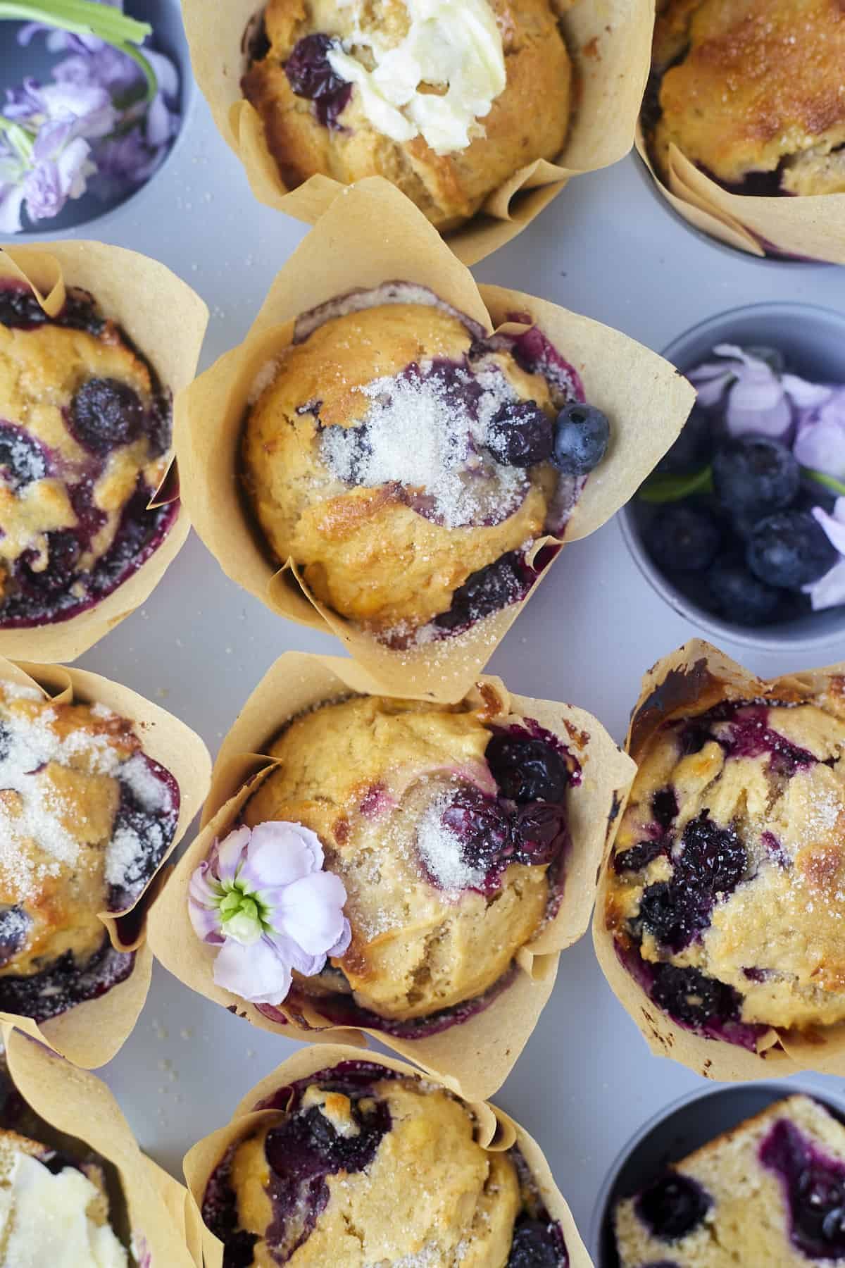 blueberry-muffins9679-1