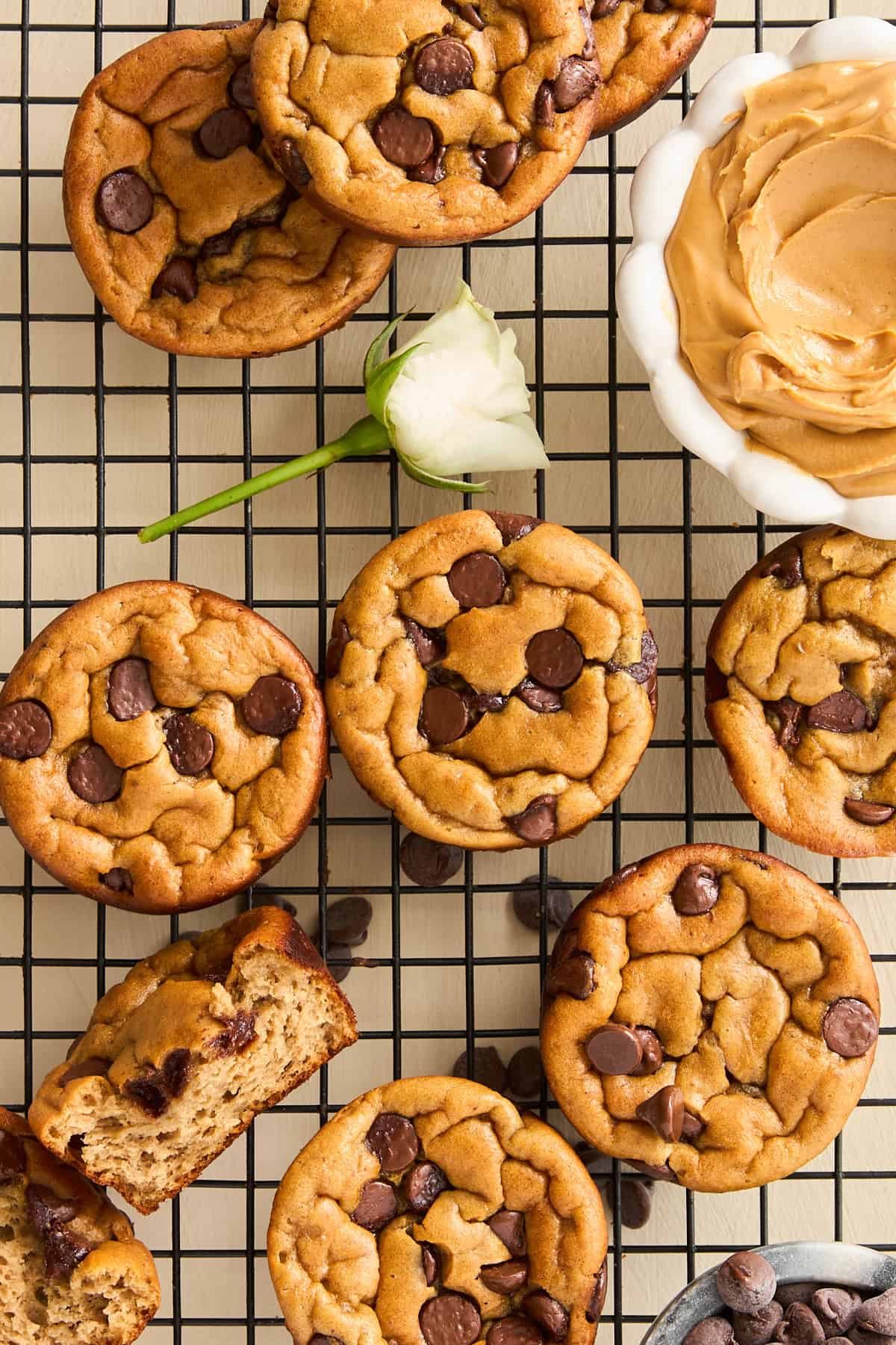 Biscoff Blender Muffins at the Table