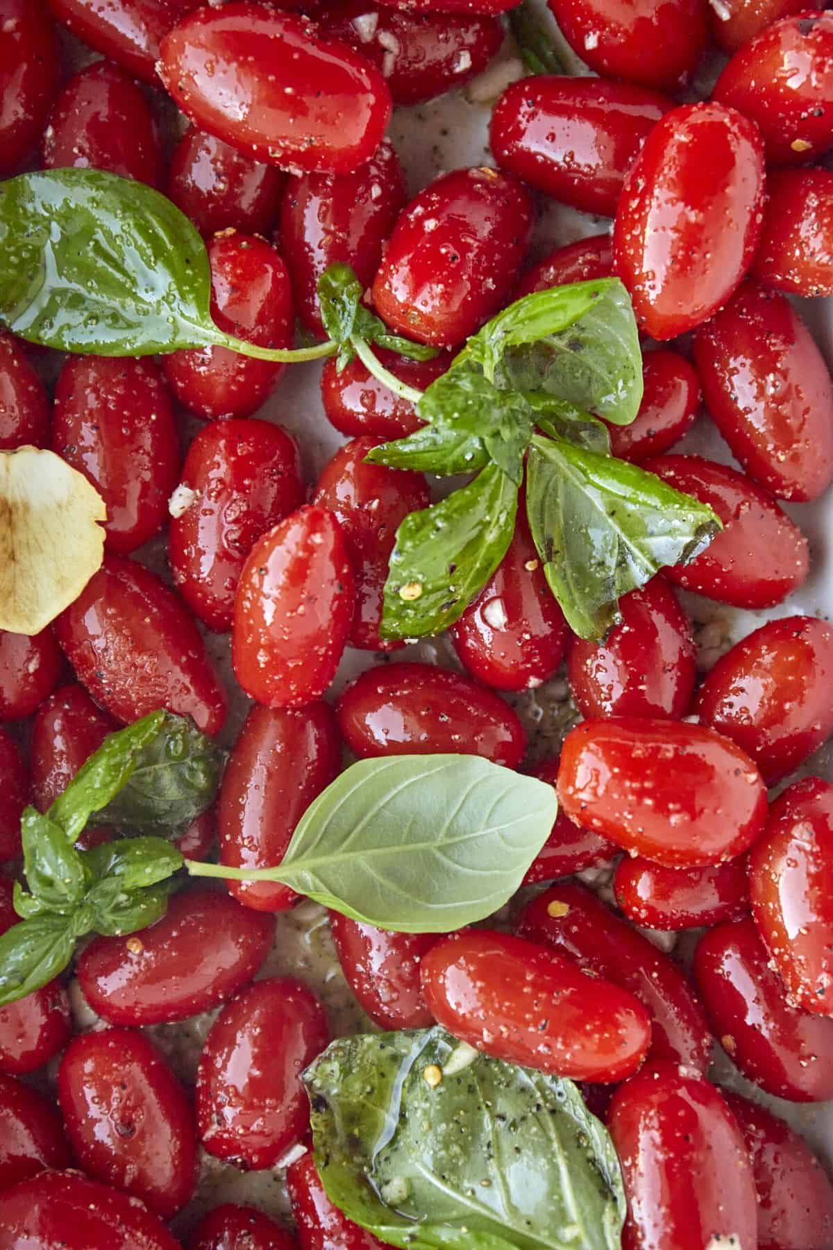 Grape tomatoes in a baking dish tossed with oil and seasonings and topped with fresh herbs