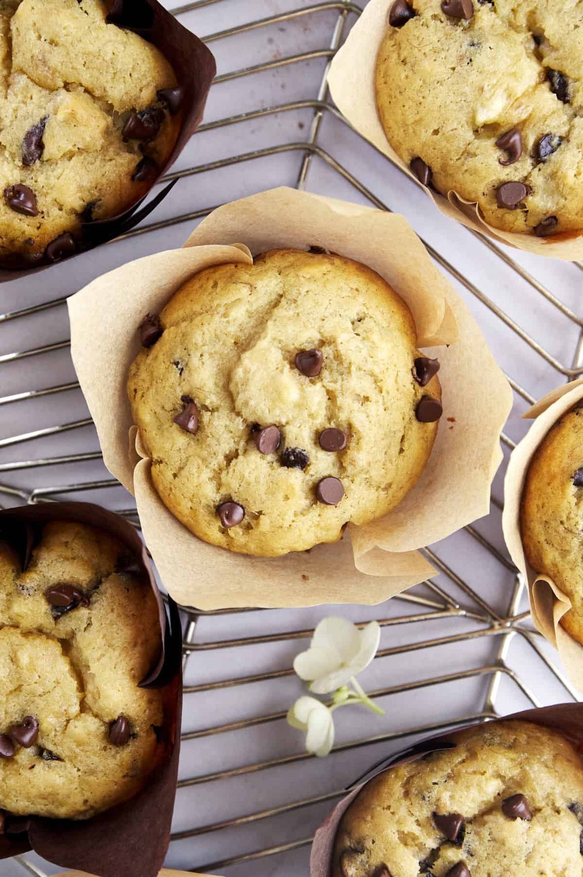 Easy banana bread muffins with chocolate chips on a wire rack.