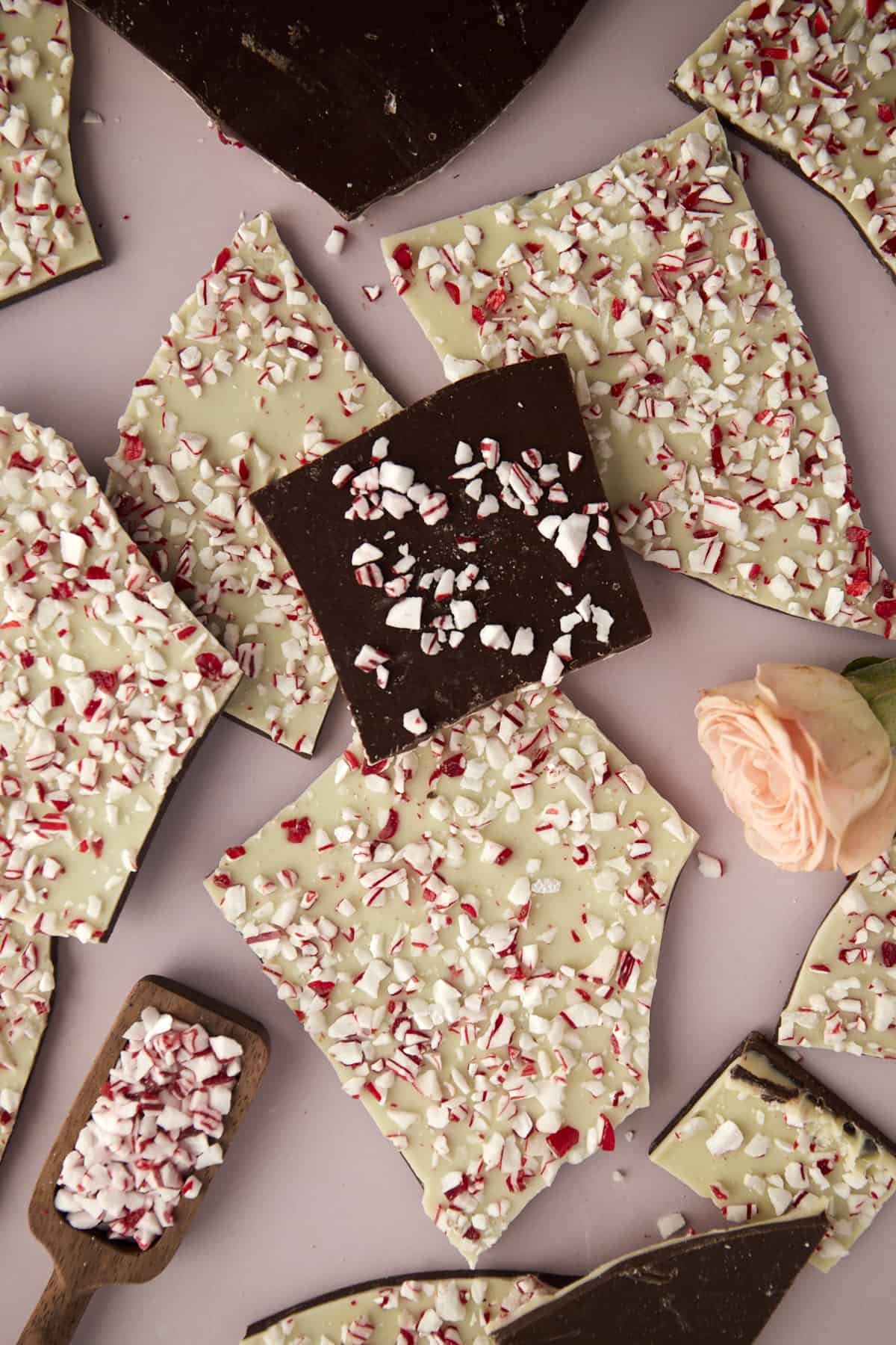pieces of white and dark chocolate layered peppermint bark.