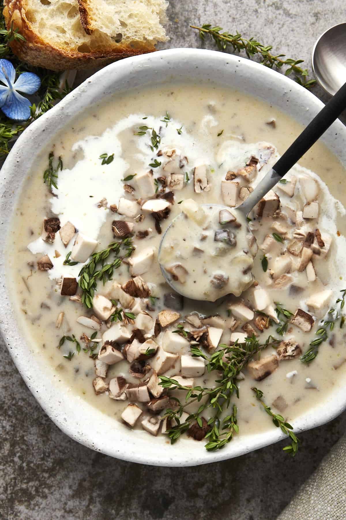 A spoon lifting a bite of creamy mushroom soup from a bowl.