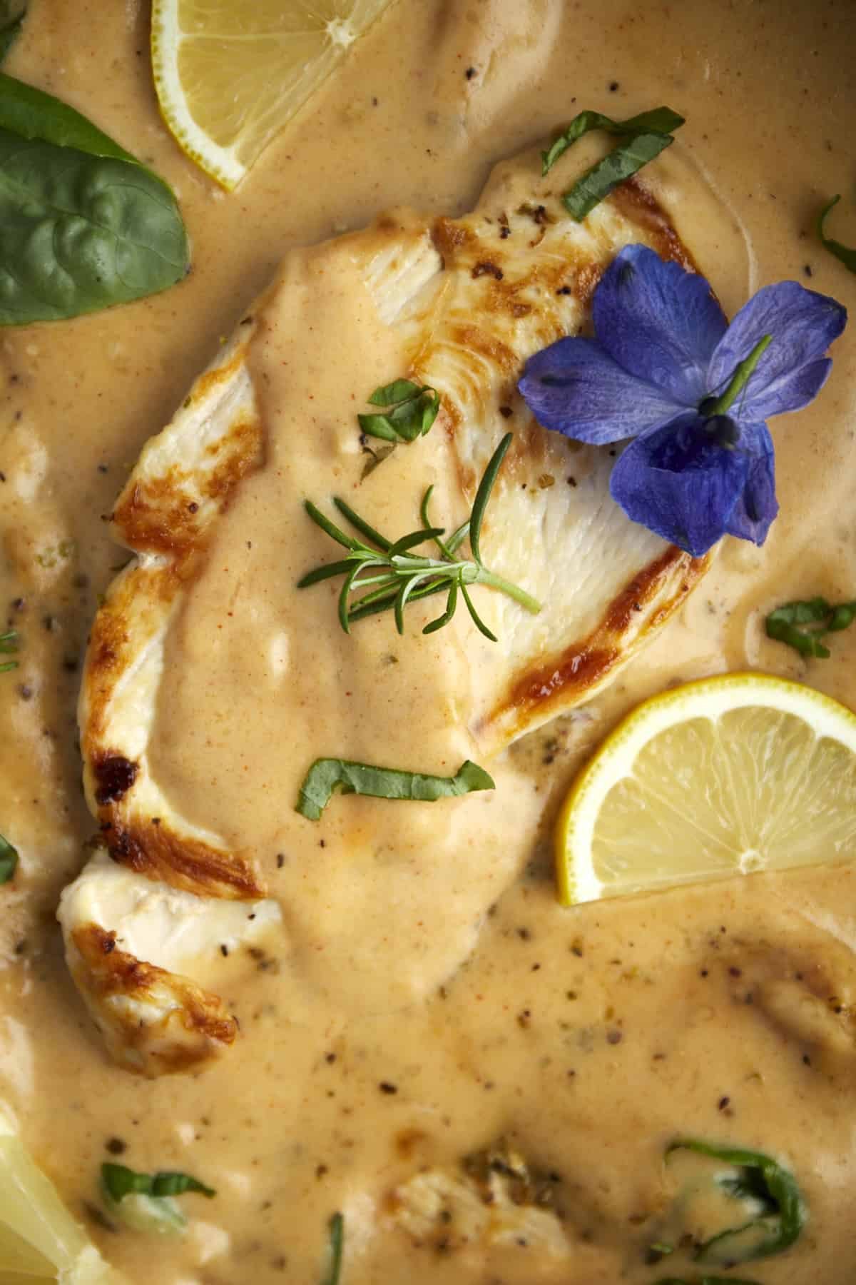 silky parmesan chicken topped with fresh herbs and lemon