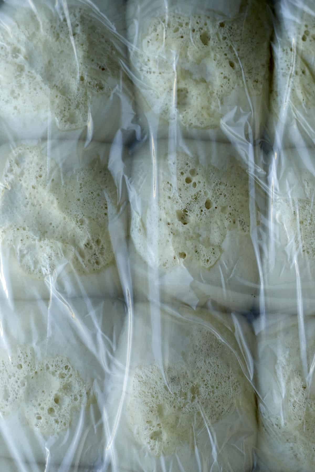 raw rolls that have been covered with plastic wrap and left to rise