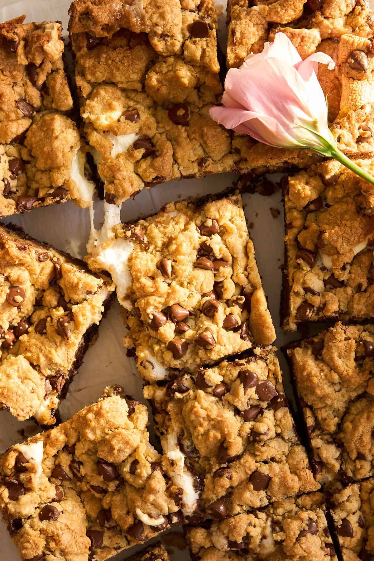 Simple S’mores Brookie