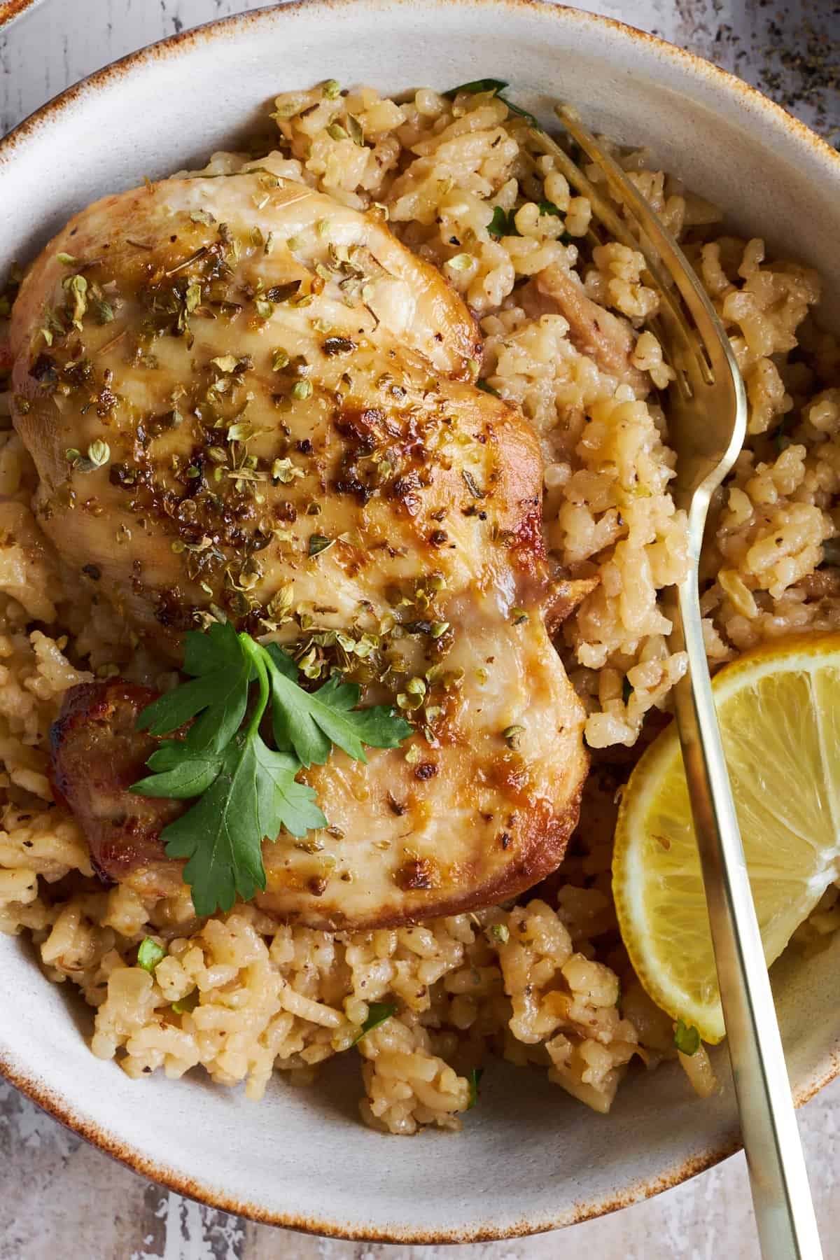 Close up image of a bowl of Greek chicken and rice.