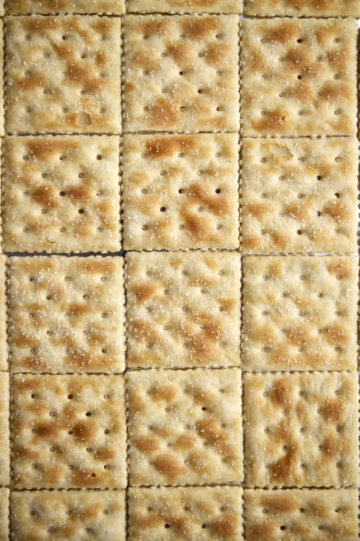 saltine crackers in a single layer on a baking sheet