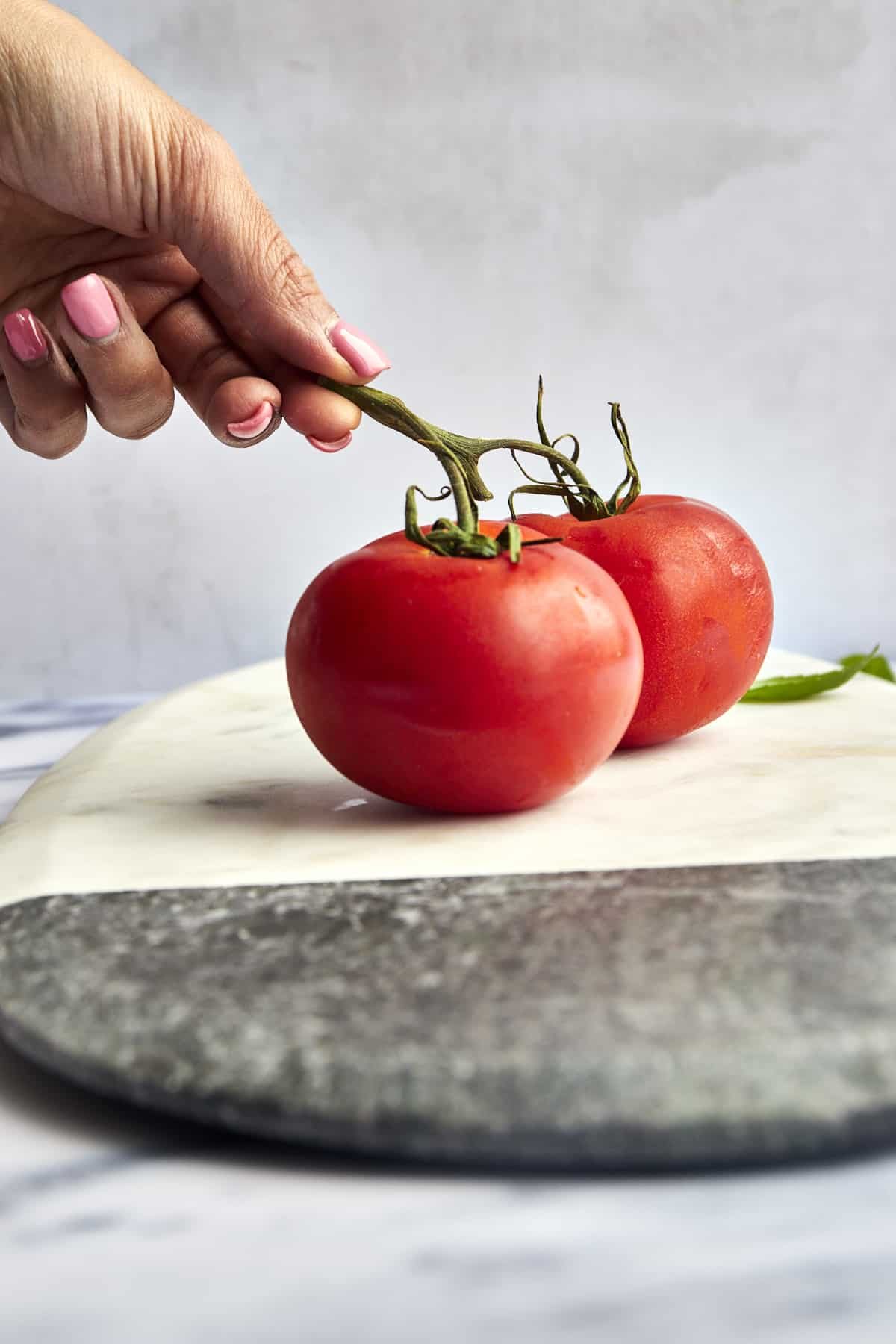A hand holding a tomato vine with two tomatoes on it.
