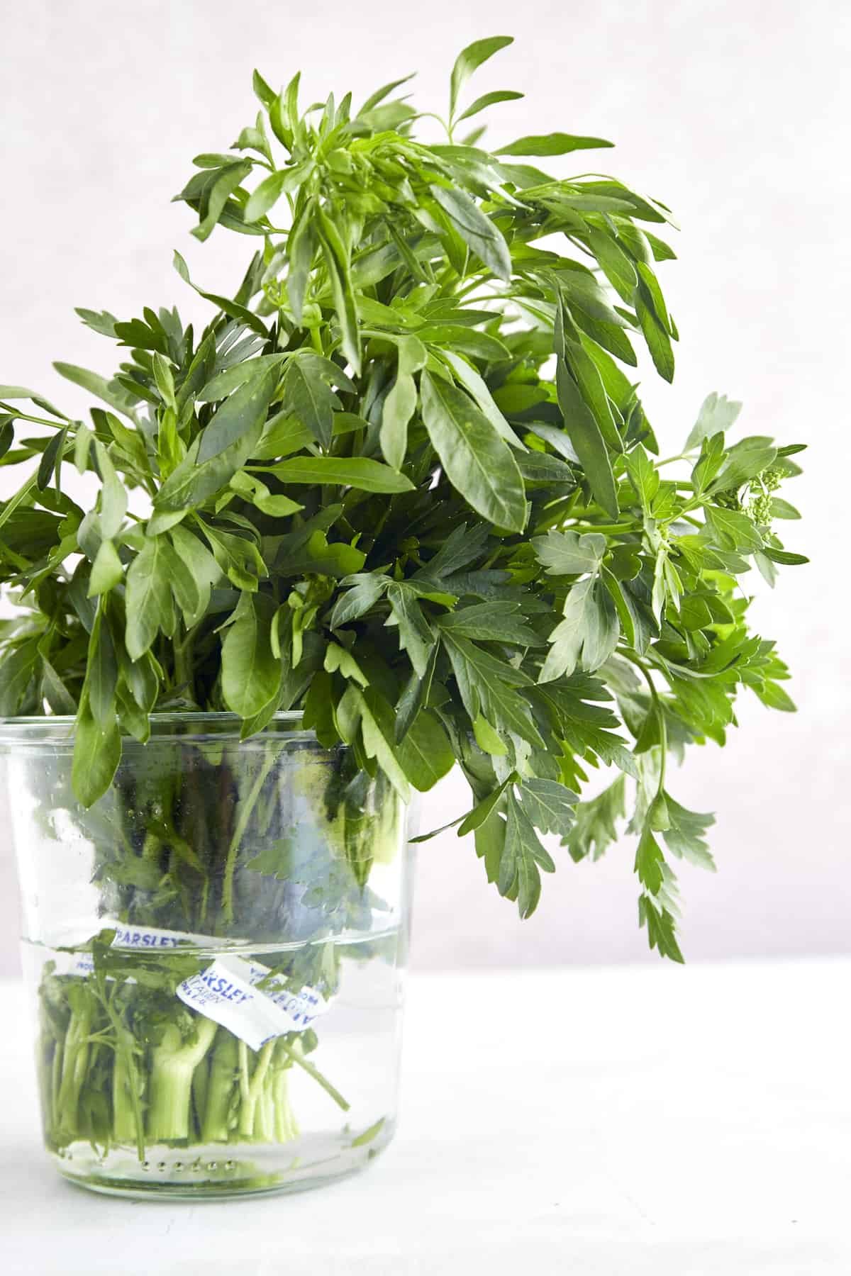 A jar of fresh parsley.