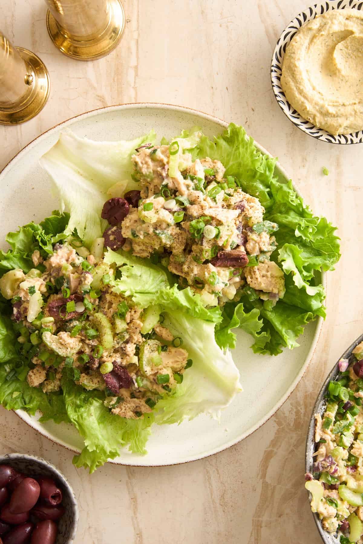 Tuna Hummus Sandwich at the Table