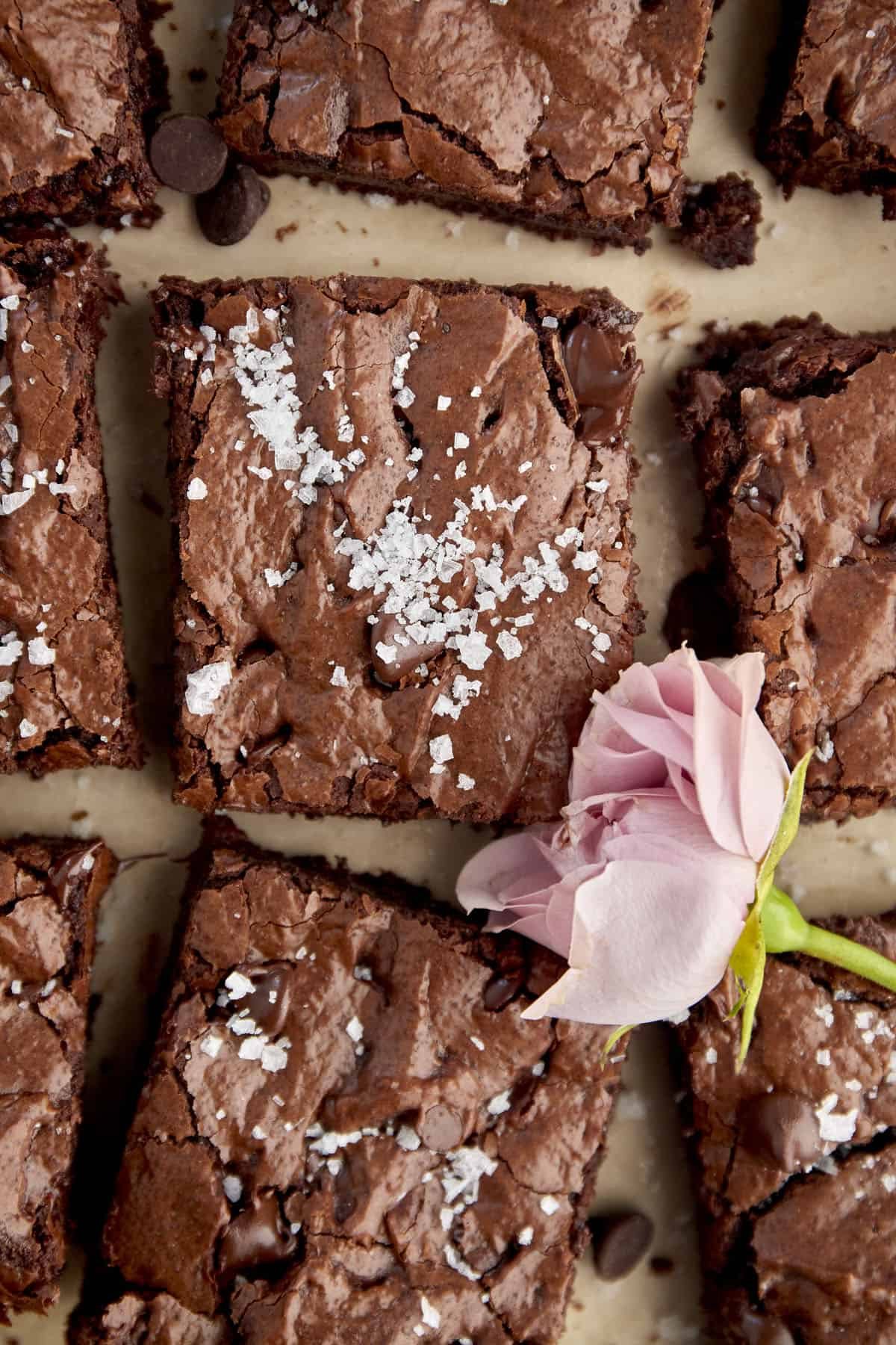 One Bowl Brownies with Chocolate Chips at the Table