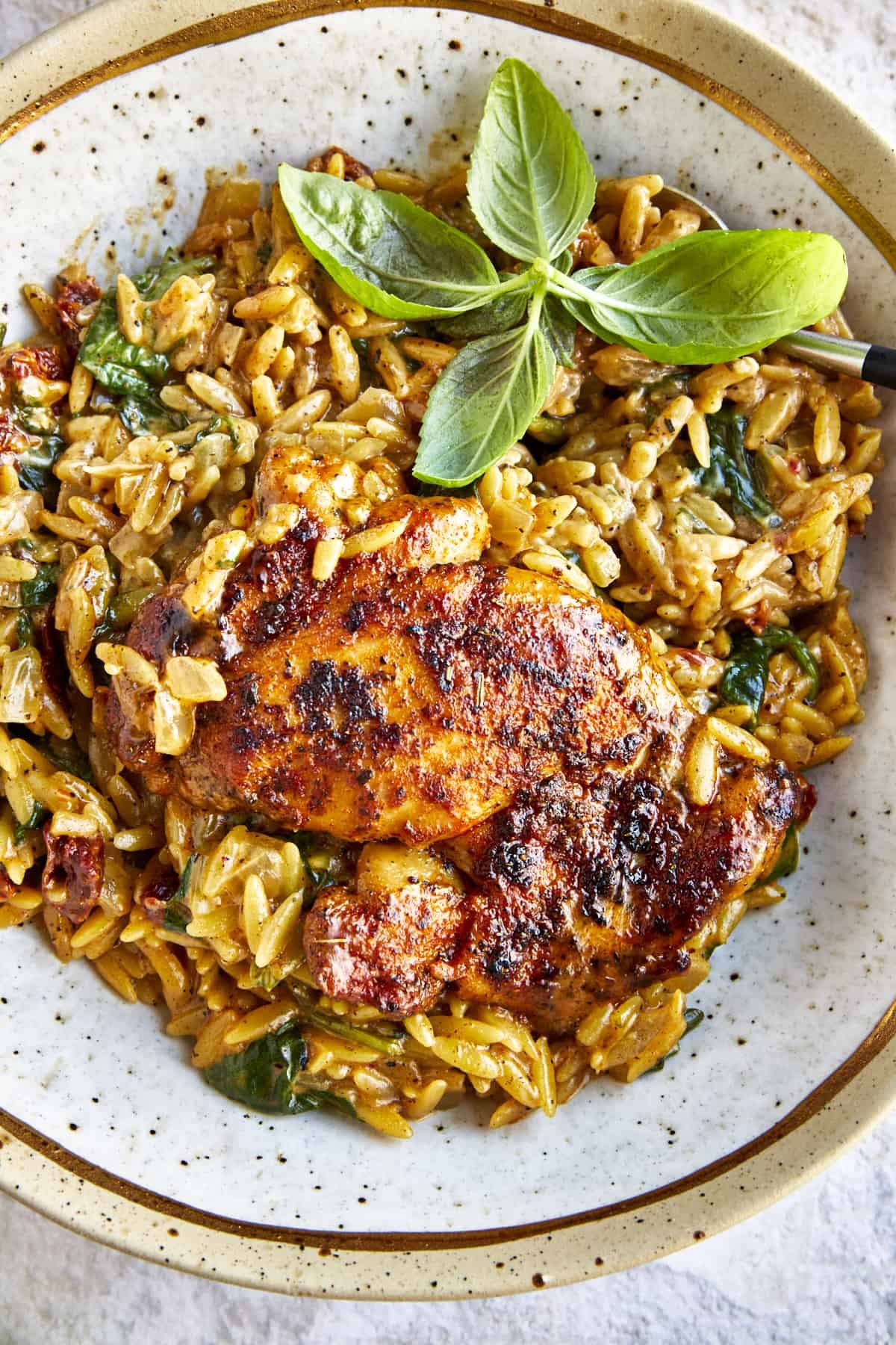 A bowl of chicken and orzo pasta with sun-dried tomatoes and spinach.
