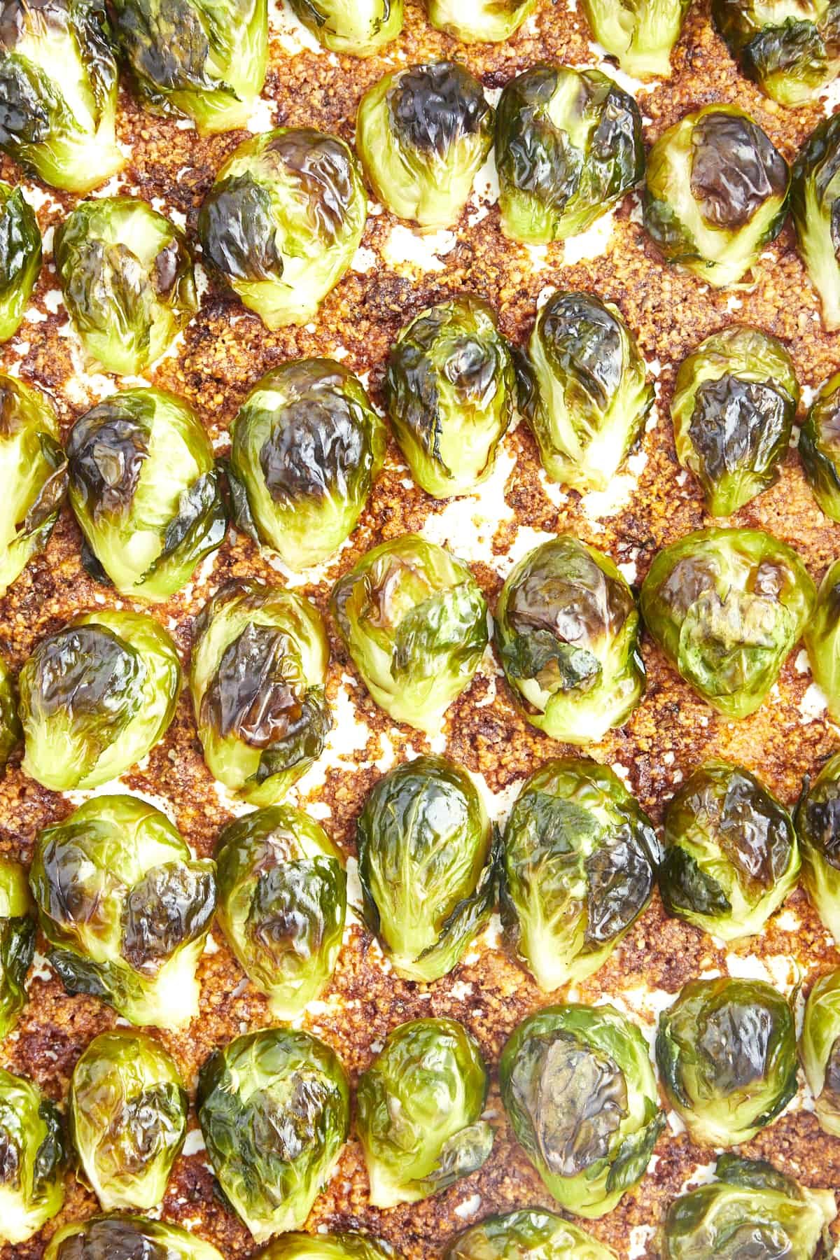 Close up image of roasted Brussel sprouts with Parmesan in a baking dish.