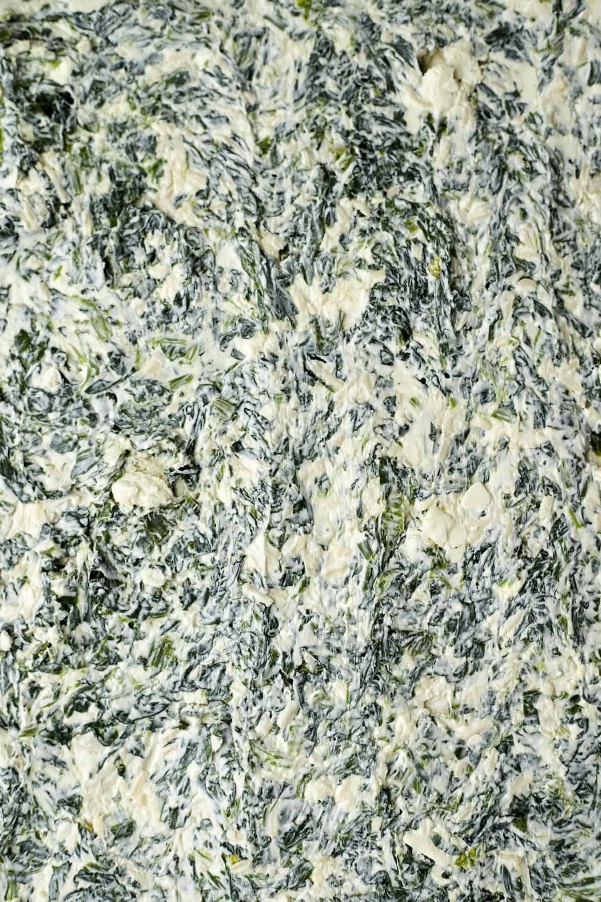 spinach and cream cheese filling spread of phyllo dough sheets