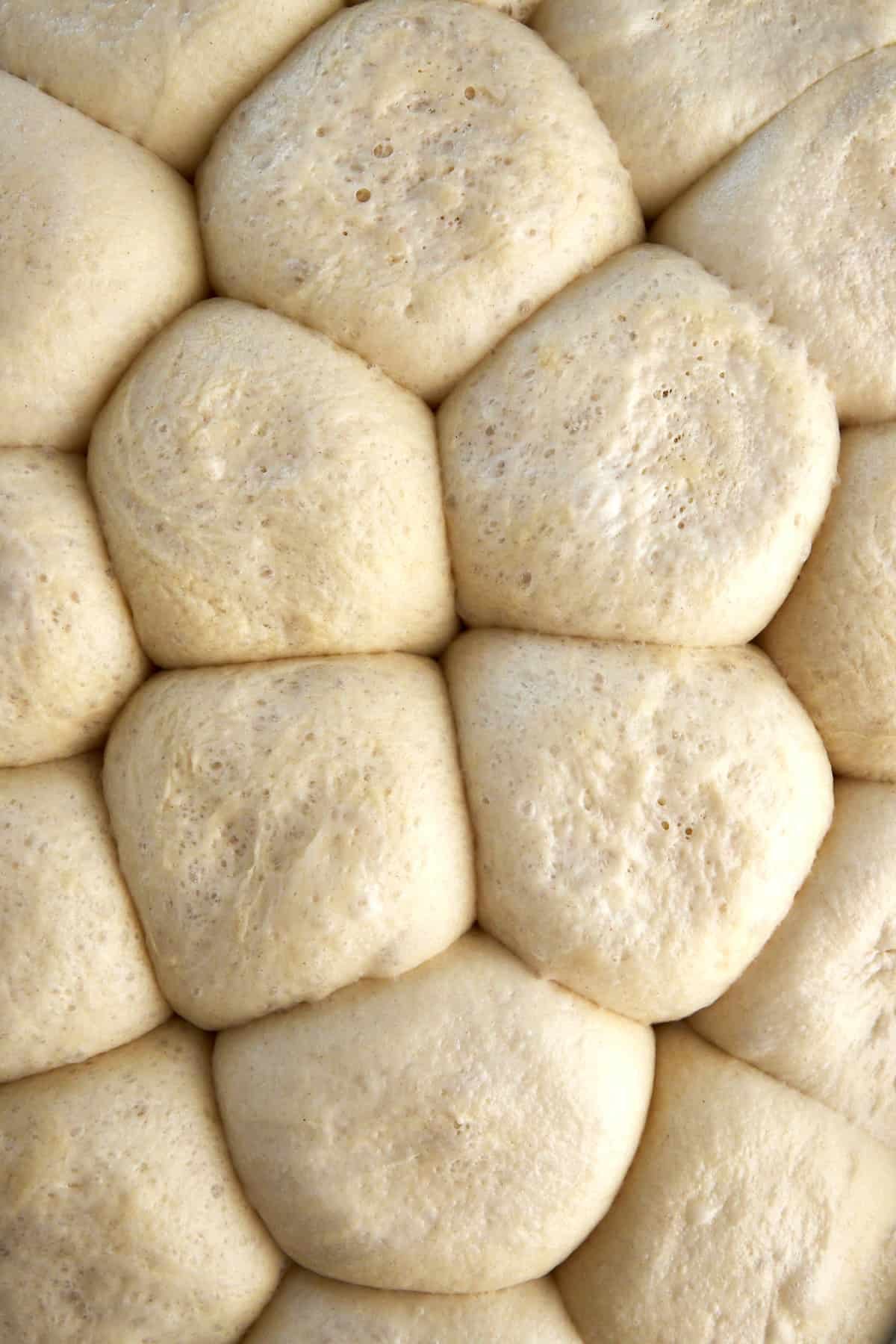 raw bead rolls in a baking sheet