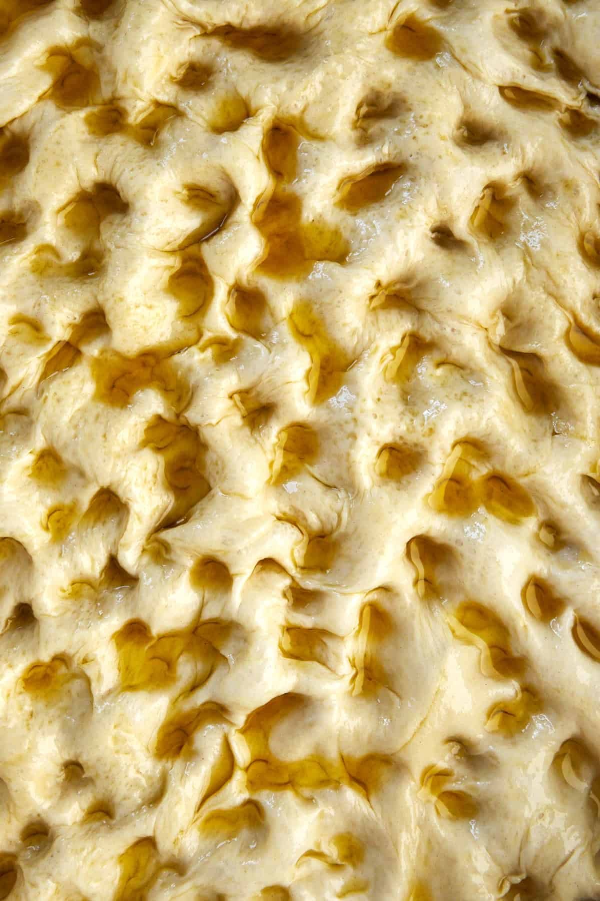 bread dough with indentions punched on top topped with olive oil