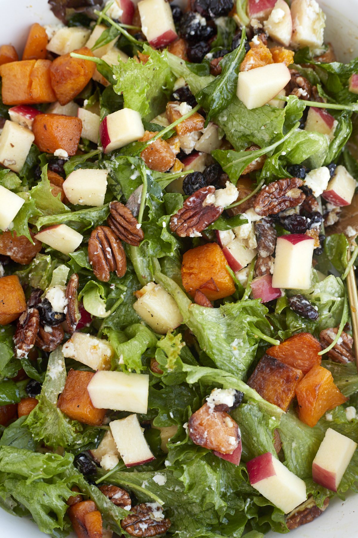 close up image of roasted butternut squash salad