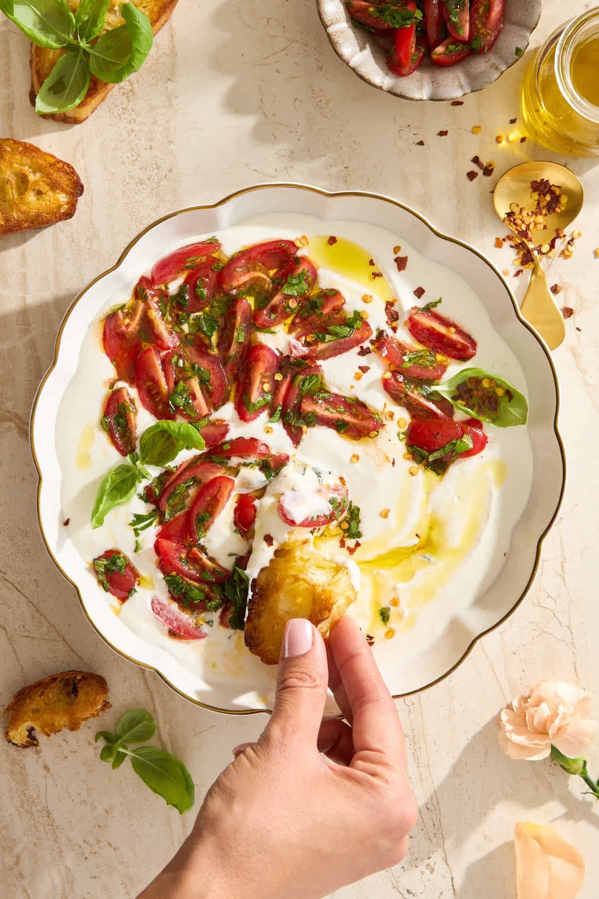 A hand dips toasted bread into a creamy whipped cottage cheese sauce topped with sliced tomatoes, fresh basil, olive oil, and red pepper flakes, all served on a white plate with a gold rim. Other food items surround the plate.