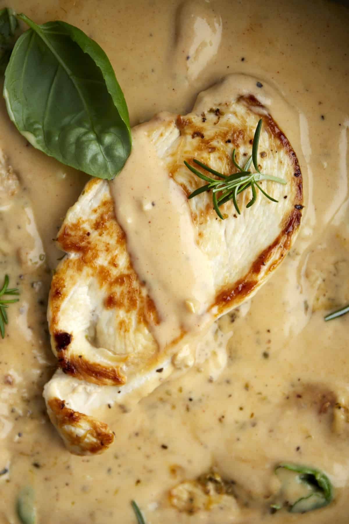 Chicken with herbs in a creamy sauce