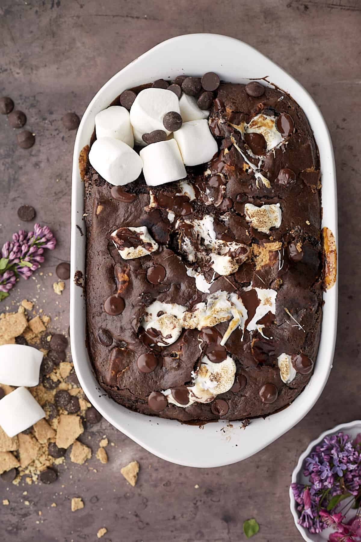 Overhead of s'mores chocolate cake