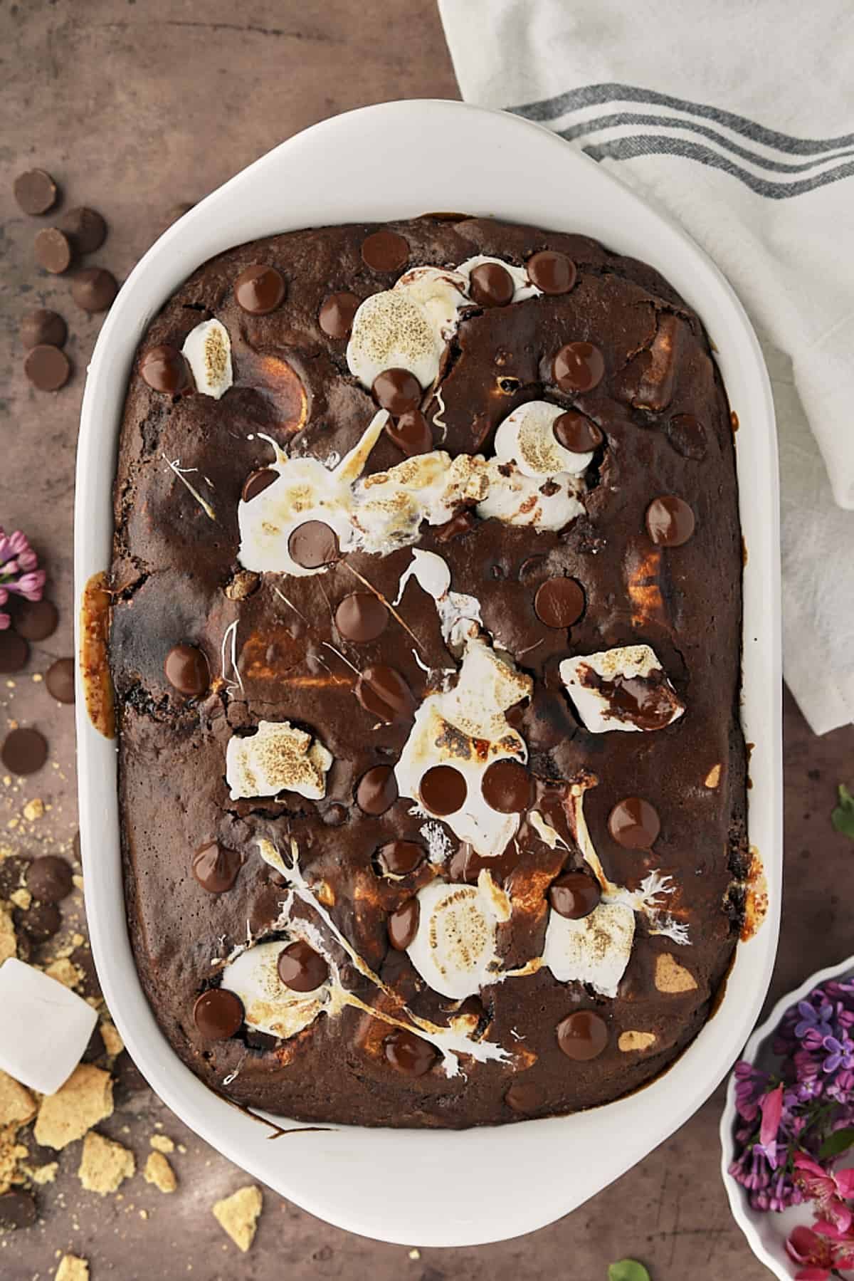 Overhead of s'mores chocolate cake