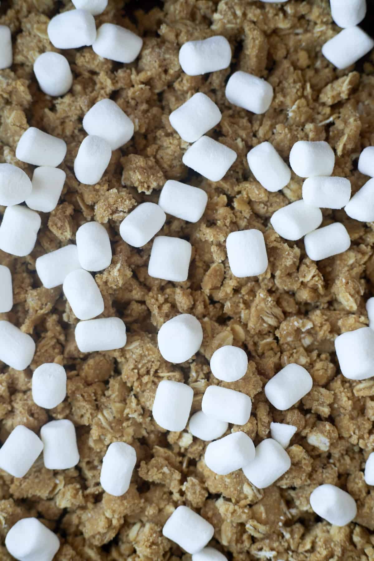 graham cracker pieces topped with marshmallows.