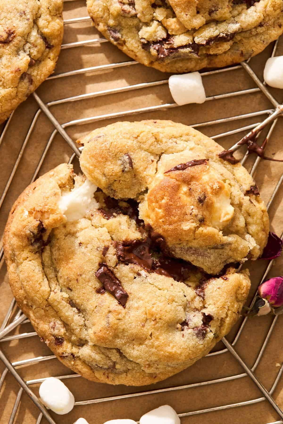 Why Did My Cookies Spread Too Much? at the Table