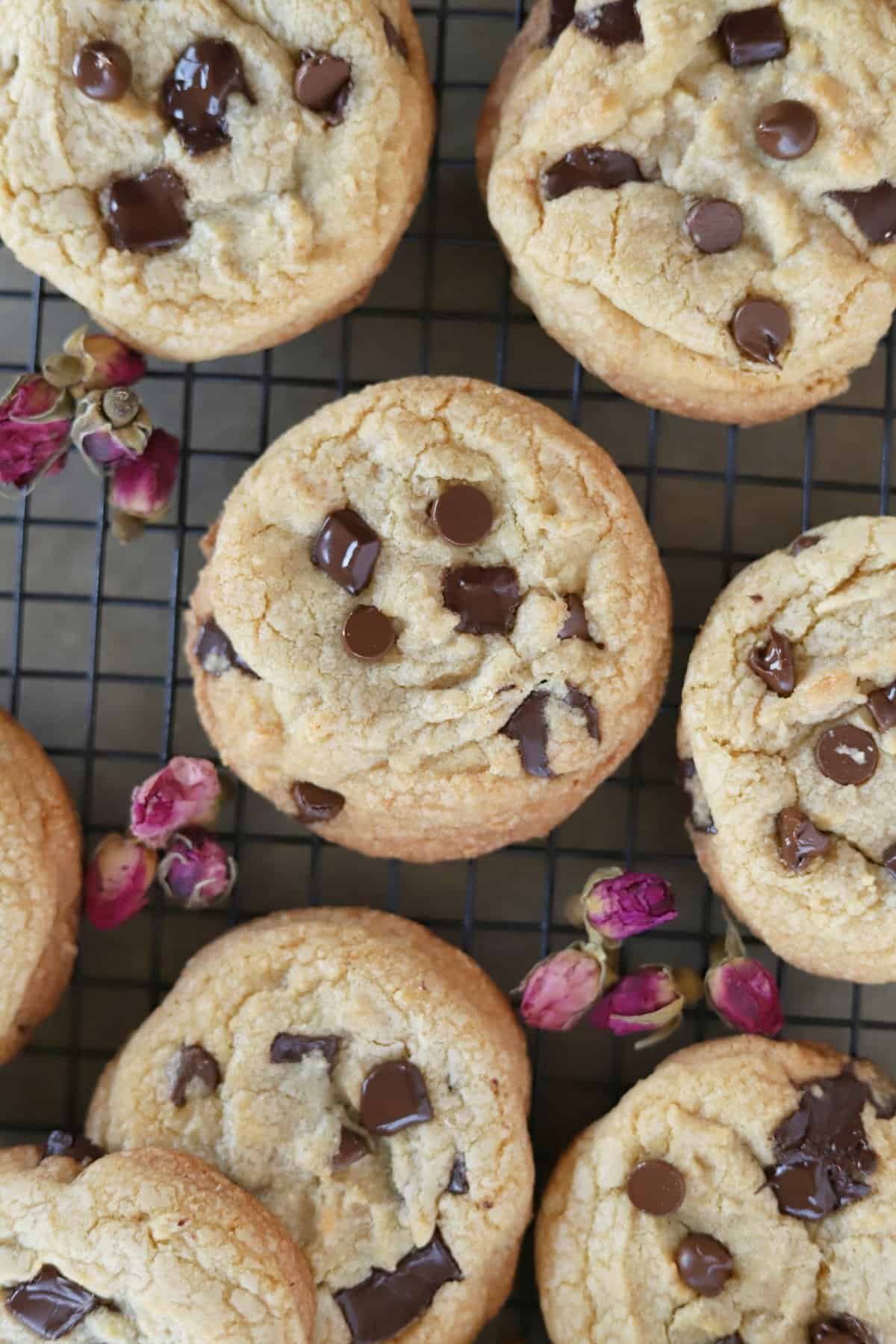 Chewy chocolate chip cookies on a wire rack.