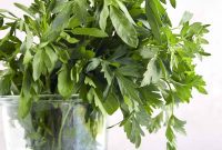 Keep Parsley Fresh Longer