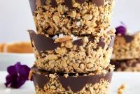 Peanut Butter Oat Delights