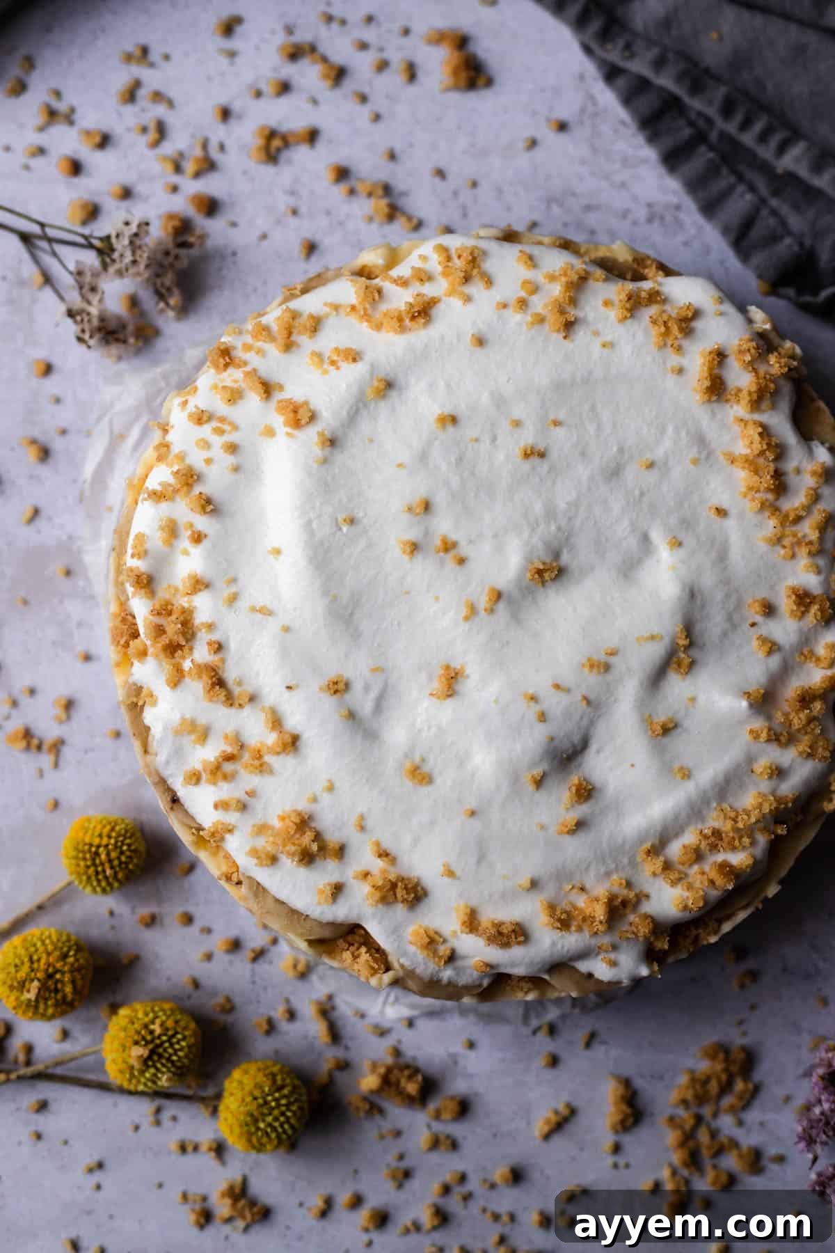 An inviting overhead shot of a complete Banoffee Cream Pie, elegantly topped with a delicate scattering of extra graham cracker crumbs and ready to be served.