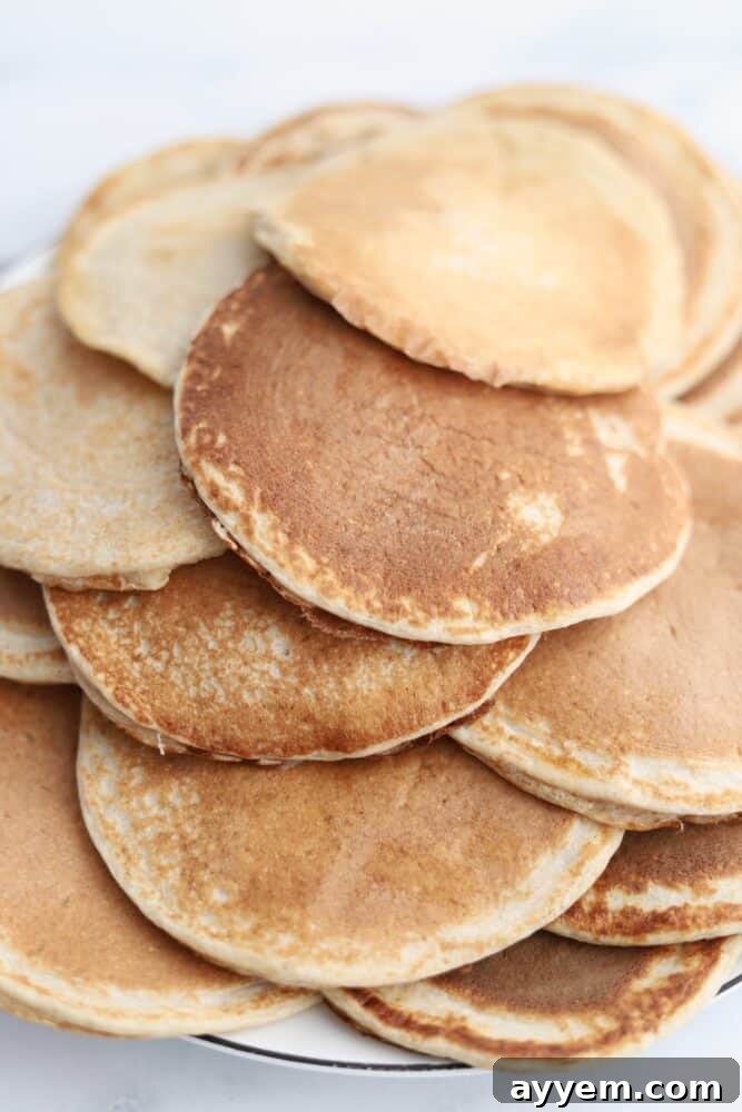 A beautifully plated stack of golden-brown cottage cheese protein pancakes, garnished with a sprinkle of fresh blueberries and a light dusting of powdered sugar, making for an appetizing and healthy breakfast.