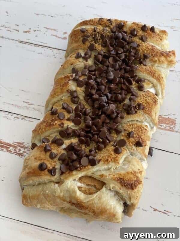 A golden brown s'mores braided pastry, generously topped with glistening mini chocolate chips and a sprinkle of graham cracker crumbs, resting on a white surface.