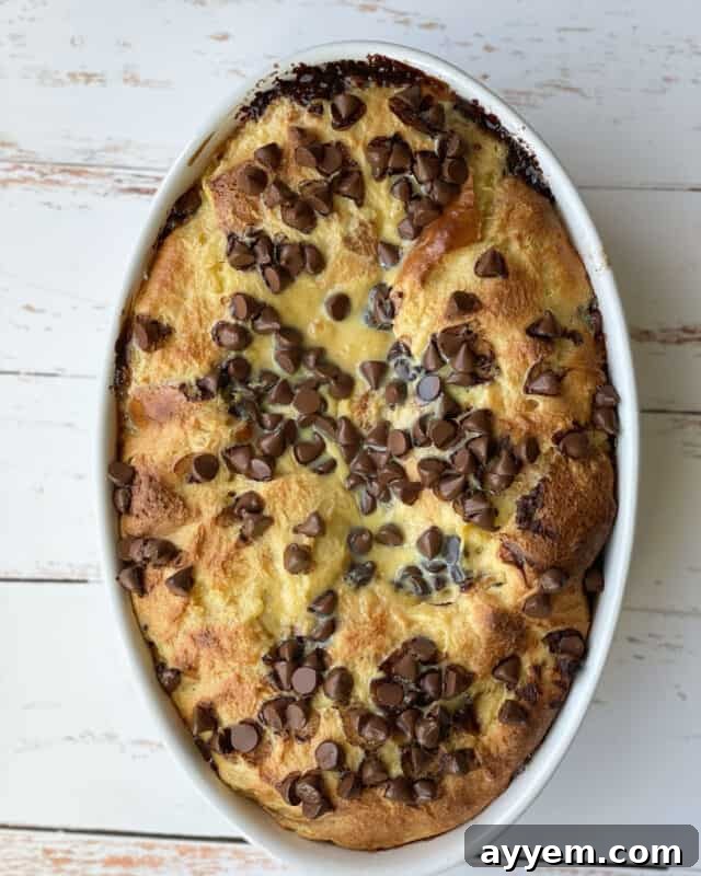 overhead image of baked tres leches bread pudding topped with chocolate chips
