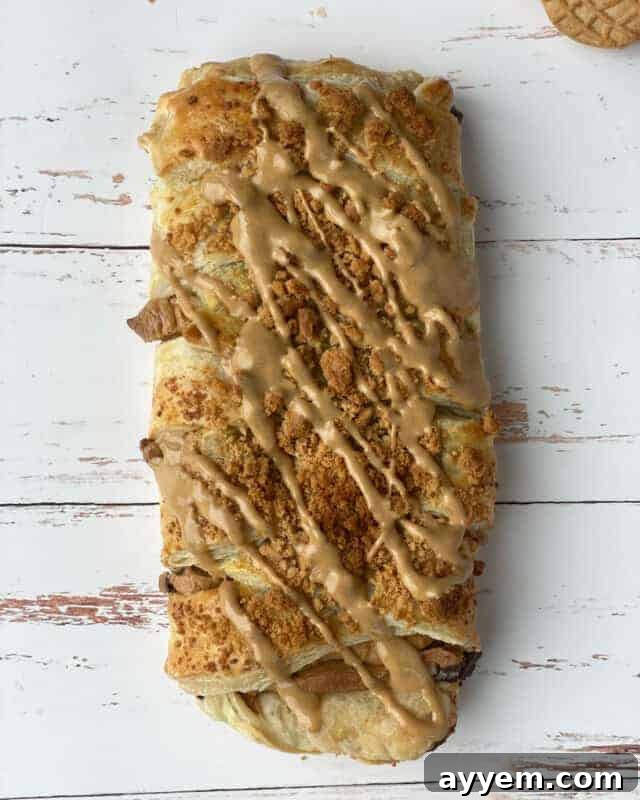 Overhead image of a peanut butter pastry braid.