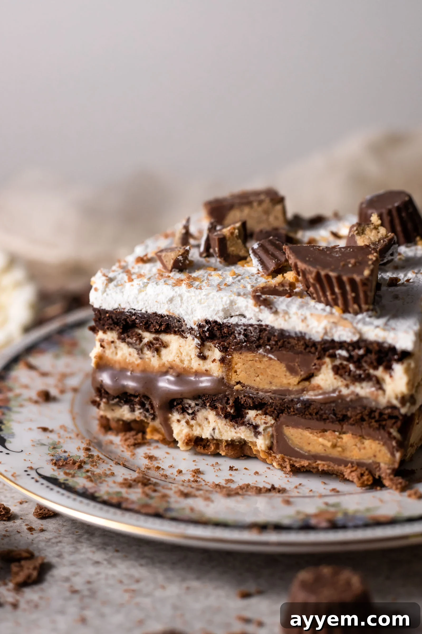 Irresistible Chocolate Peanut Butter Lasagna, layered dessert