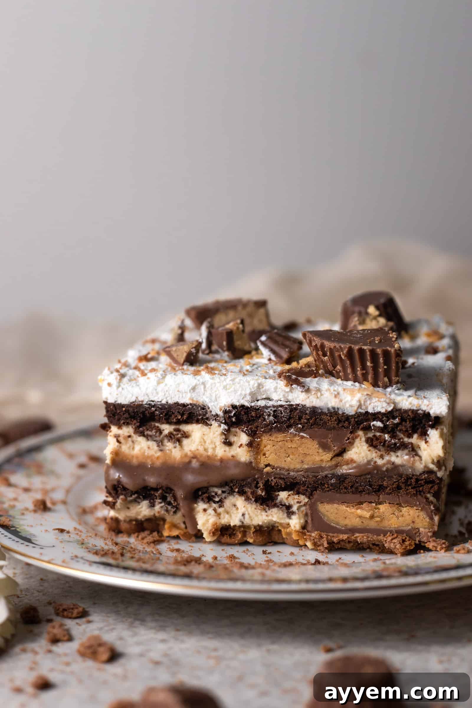 A beautifully presented slice of chocolate peanut butter lasagna on a plate