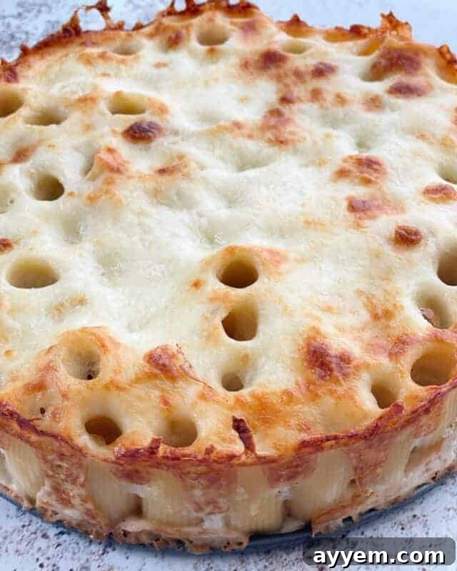 A full honeycomb pasta cake, golden and bubbly from the oven.