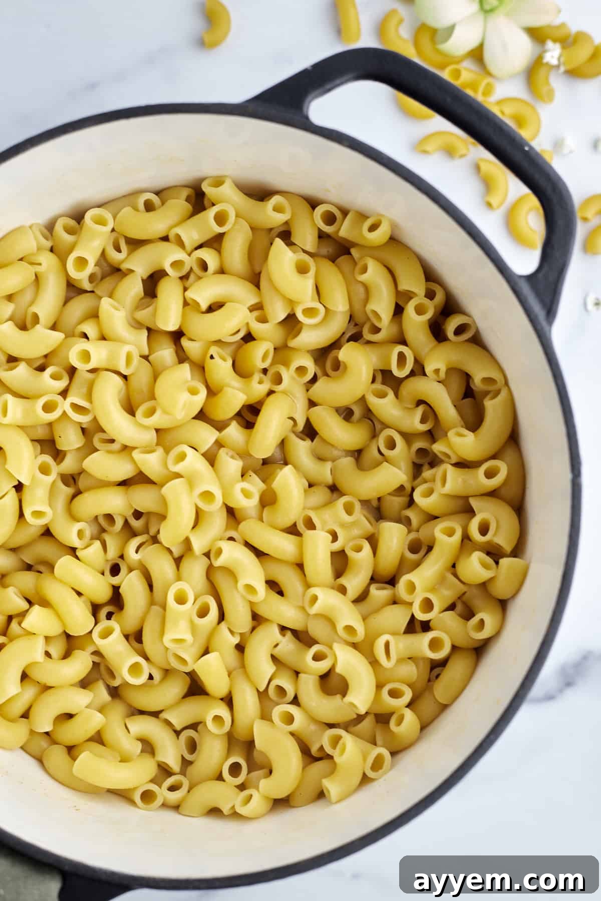 One Pot Wonder Mac and Cheese 3 elbow pasta in a large pot