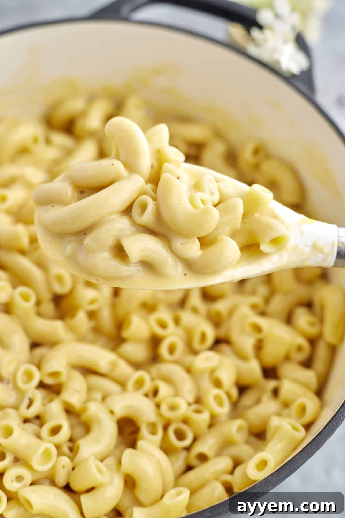 One Pot Wonder Mac and Cheese 6 one pot mac and cheese with a spoon holding a scoop over the pot
