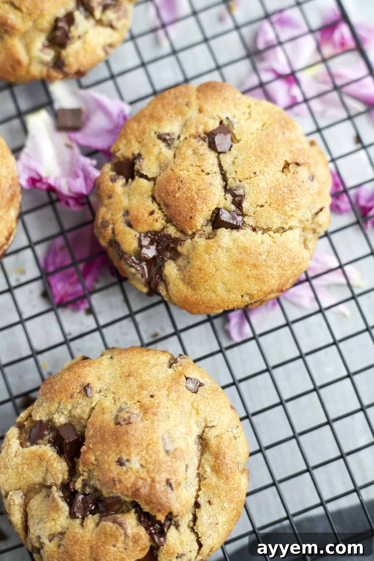 A cluster of ultimate chocolate chip cookies, still warm and inviting, arranged on a cooling rack, showcasing their generous size and chocolatey goodness.
