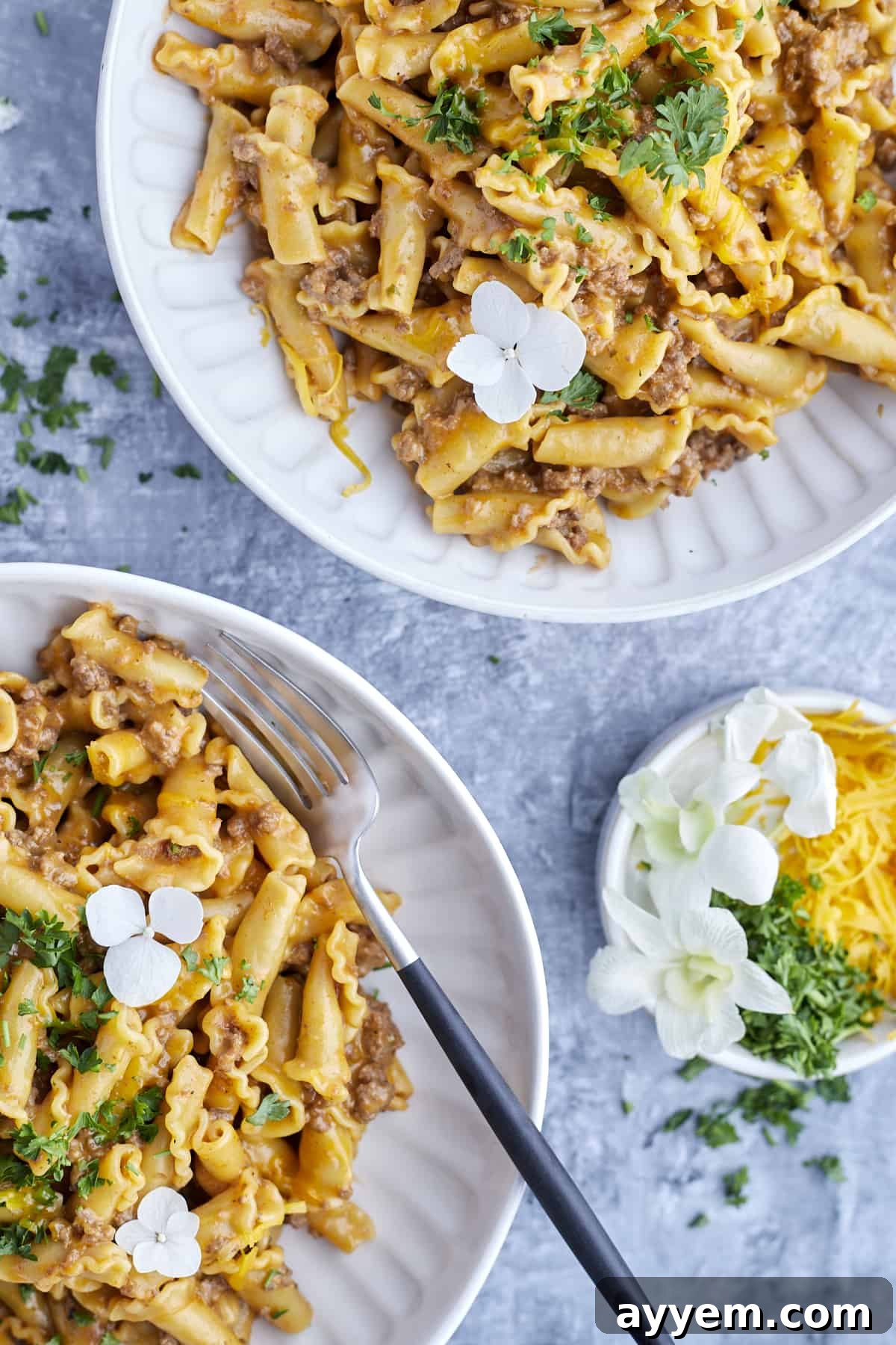 cooked one pot hamburger pasta on two plates with a fork.