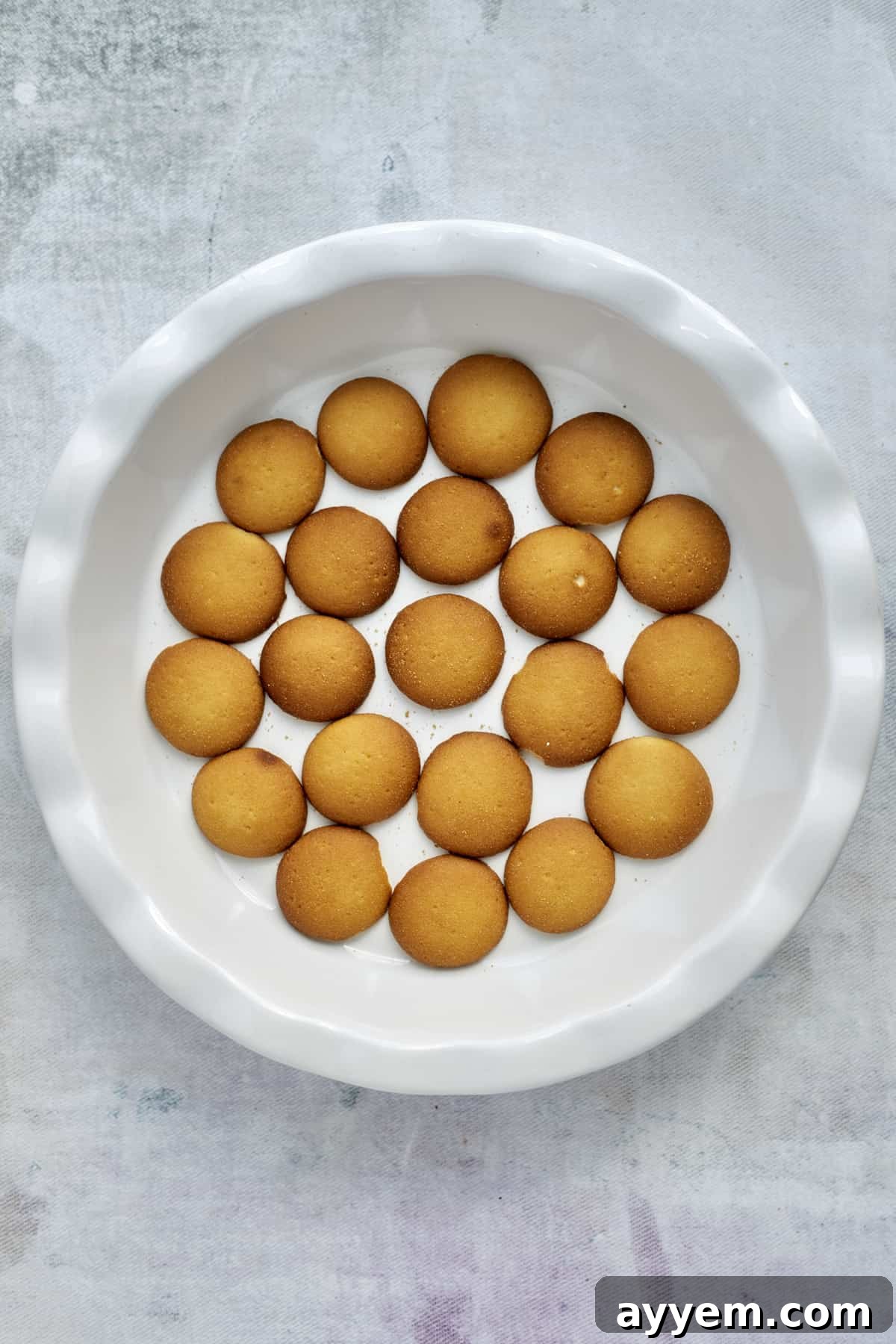 Nilla wafers neatly arranged at the bottom of a baking dish, ready for layering.
