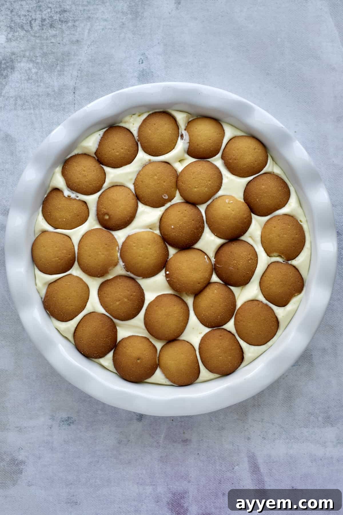 The second layer of Nilla wafers added over the creamy vanilla pudding filling in a baking dish.