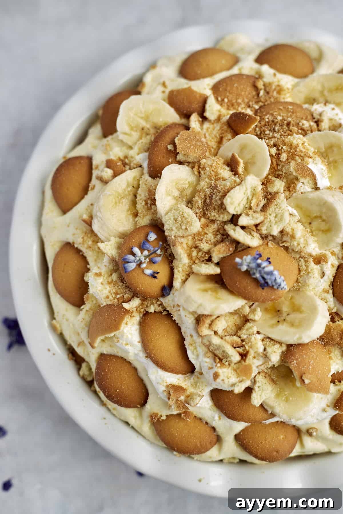 A baking dish with multiple completed layers of Nilla wafers, banana coins, and vanilla pudding for banana pudding.