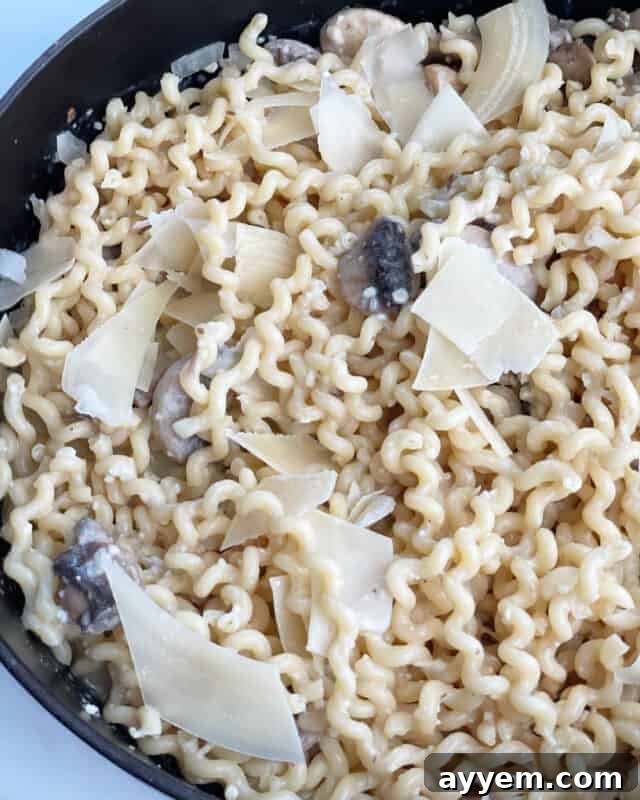 A close-up shot of a single serving of creamy mushroom stroganoff in a white bowl, generously garnished with thin shavings of Parmesan cheese and a sprig of fresh herb for presentation.