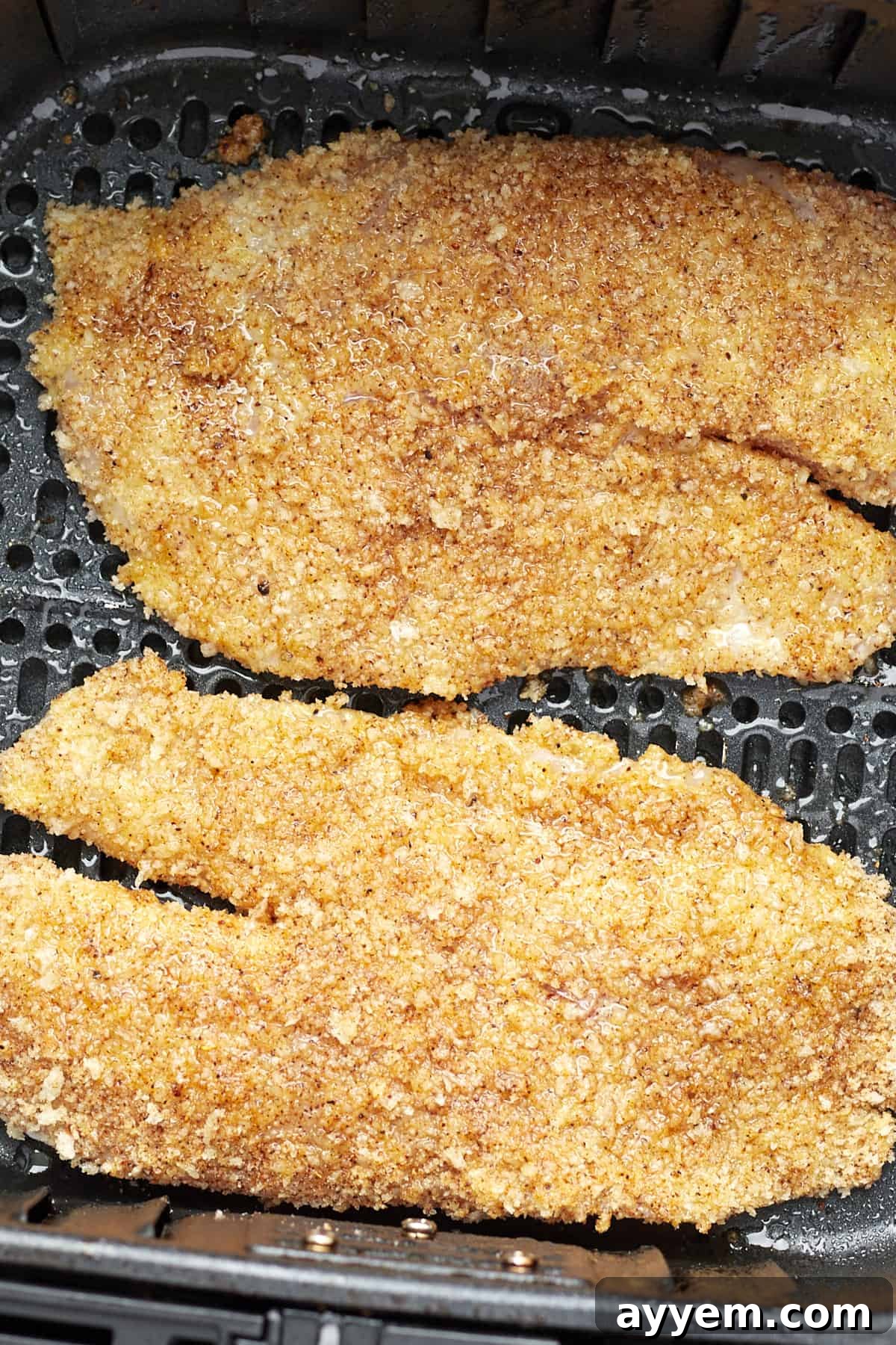 Crispy air fried tilapia pieces arranged in the basket of an air fryer.