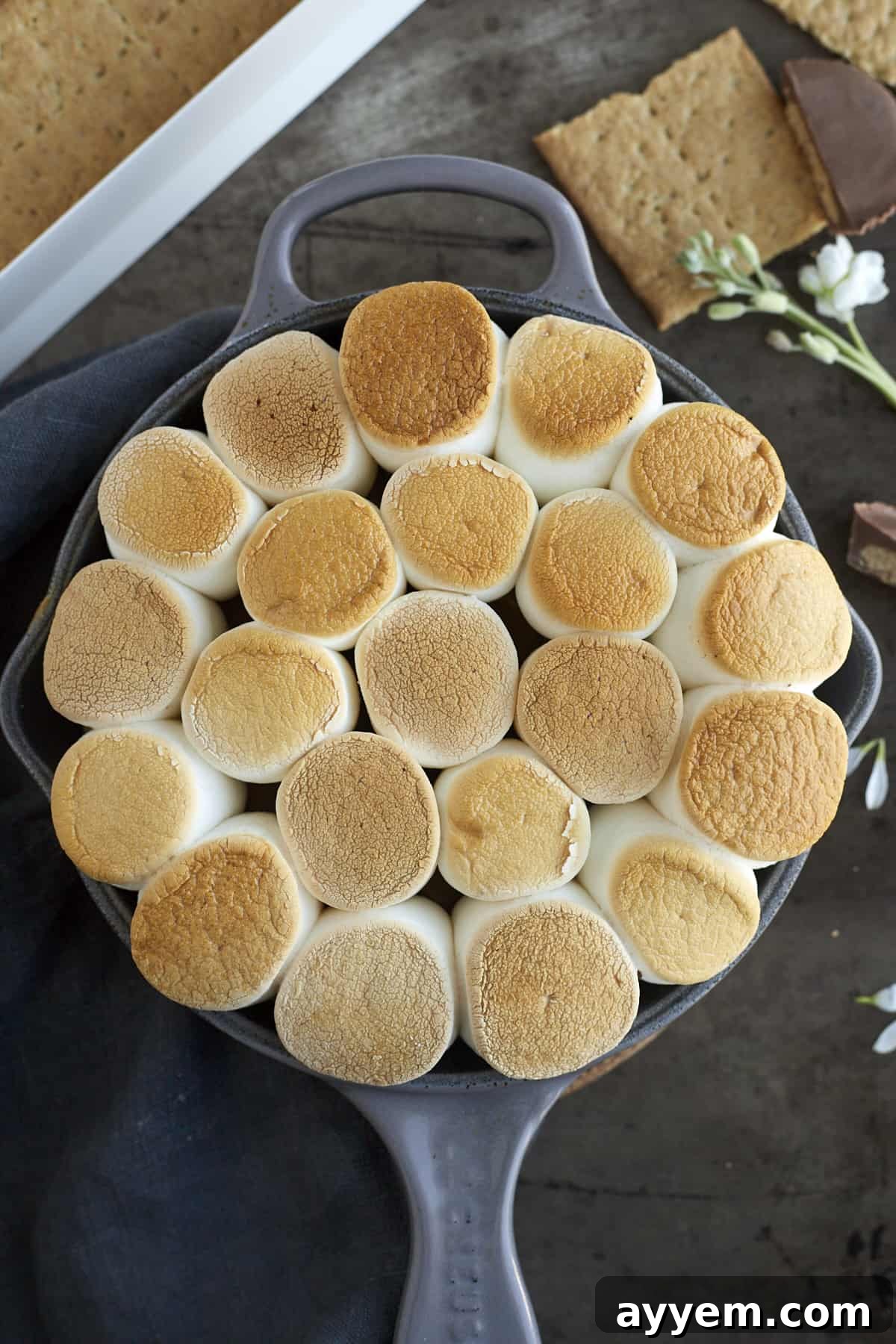 overhead image of peanut butter lovers' s'mores dip topped with toasted marshmallows, ready to be served.
