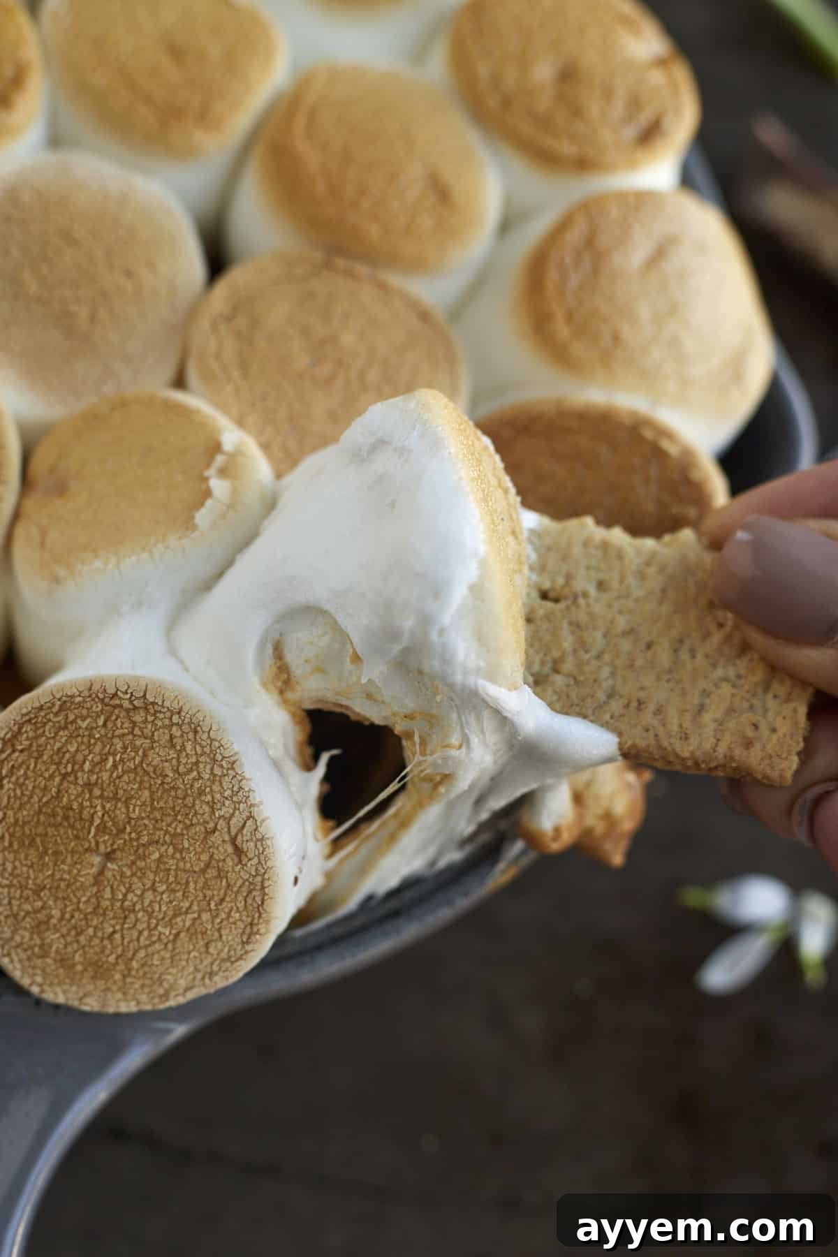 a graham cracker being dipped into peanut butter lovers' s'mores dip, showing the gooey layers of marshmallow, chocolate, and peanut butter.